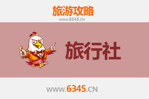 丽水庆元旅行社精选推荐与深度游玩攻略
