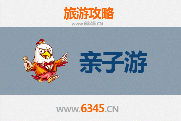 丽水庆元亲子游攻略：探索自然与文化的完美之旅