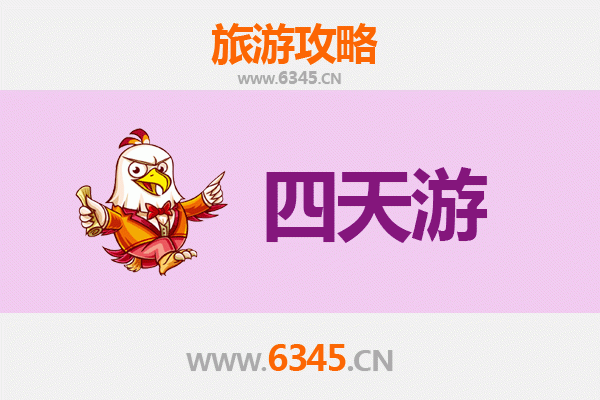 丽水庆元四天三夜深度游攻略：探秘廊桥之乡，品味生态古韵